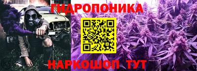 спайс Тара