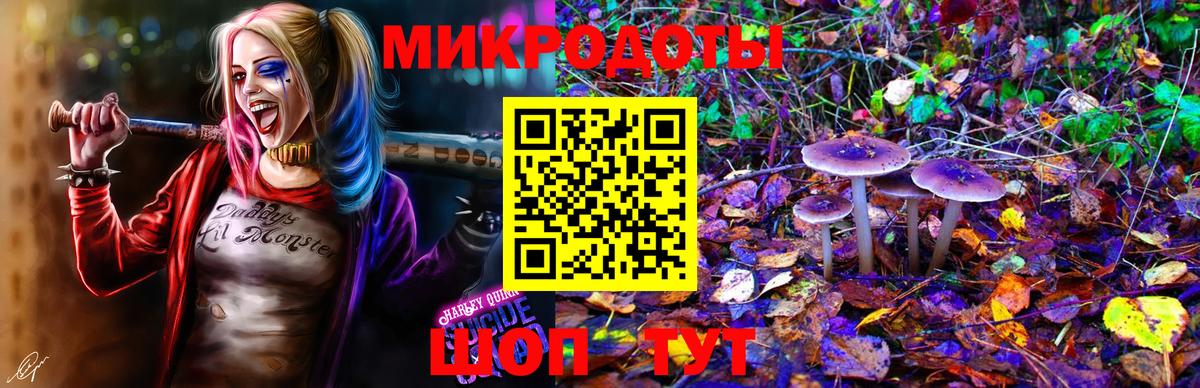 Вятские Поляны  Псилоцибиновые грибы Cubensis  Галлюциногенные грибы мицелий  Вход с VPN 
