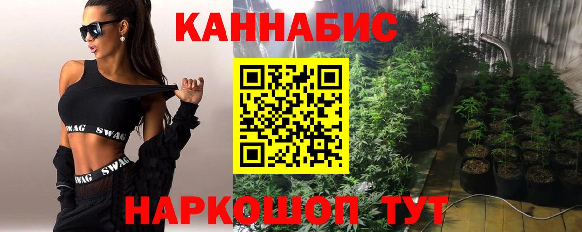 МАРИХУАНА планчик Вятские Поляны